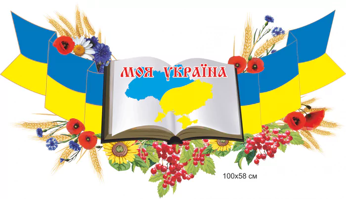 На Львівщині збирають національну символіку і книги для cходу України