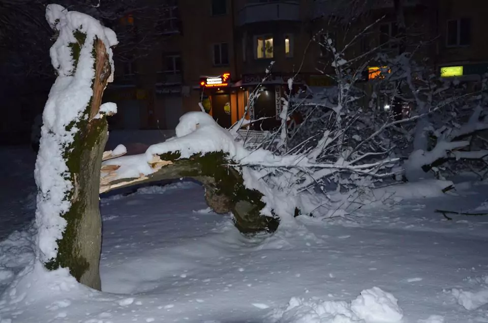 Рясний мокрий сніг наробив нині безліч збитків на землі Івана Франка